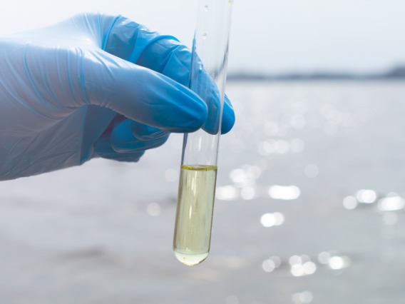 gloved hand holds test tube of water