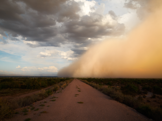 haboob crossing a dirt road